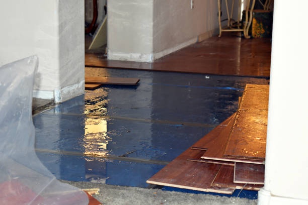 Professional Burst Pipe Cleanup technician working in Hometown, WV